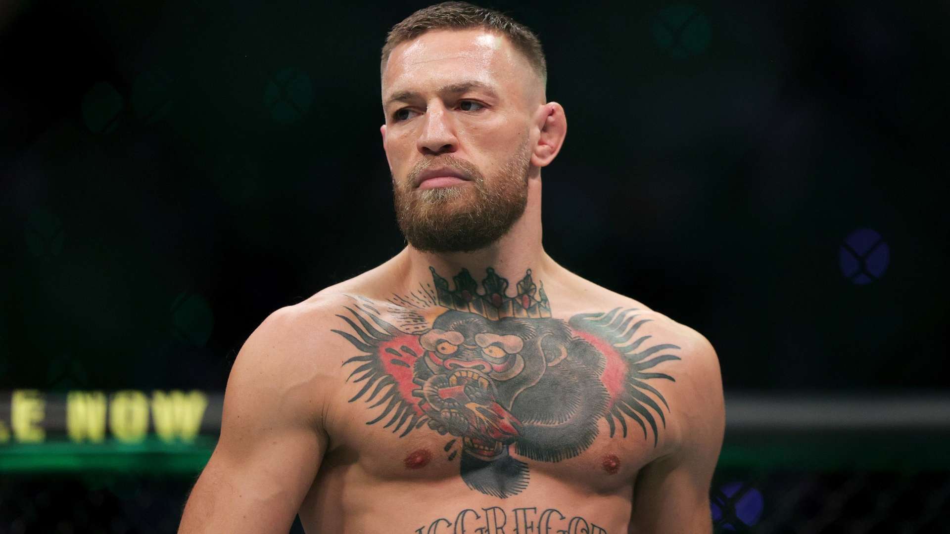 更因其丰富 更因其丰富